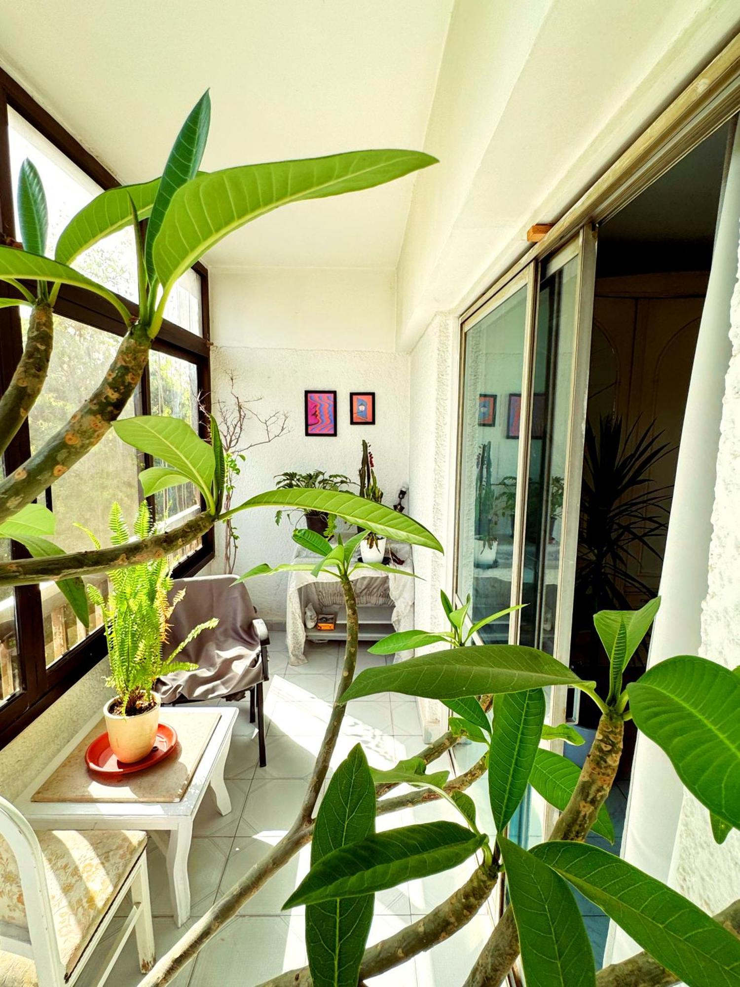 Large Room With Its Own Balcony Cairo Exterior photo